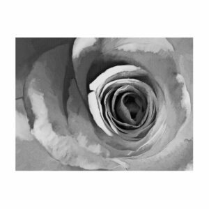 Veľkoformátová tapeta Artgeist Paper Rose