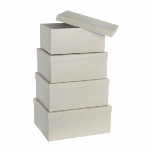 Kartónové úložné boxy v súprave 10 ks s vekom Greige – Casa Selección